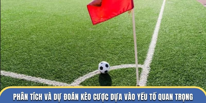 Phân tích chuẩn xác và dự đoán kèo cược dựa vào yếu tố quan trọng