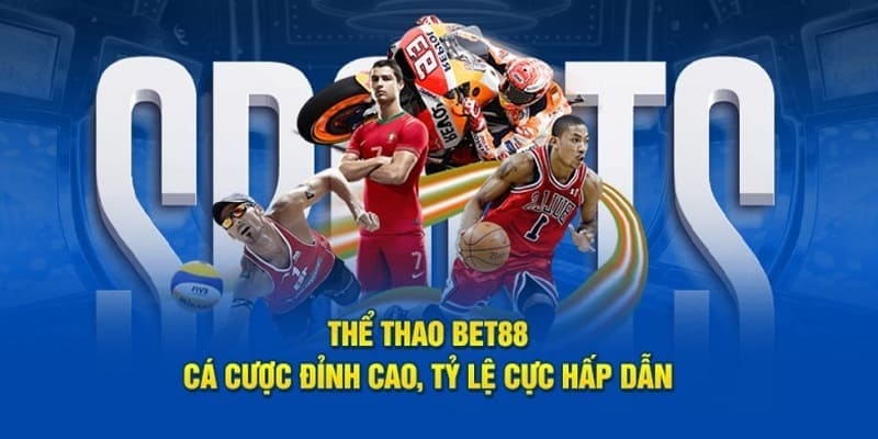 Vô số trận đấu nổi tiếng trong và ngoài nước xuất hiện trên BET88